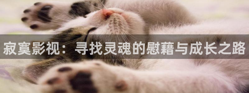 橘子視頻官網網址