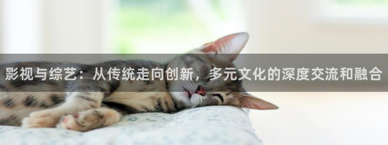 橘子和桔子有什么區別